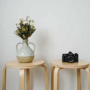 Elegant minimalist setting with a vase of flowers and a camera on wooden stools indoors.